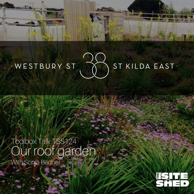 The Site Shed's podcast on the Roof Garden at 38 Westbury Street St Kilda East